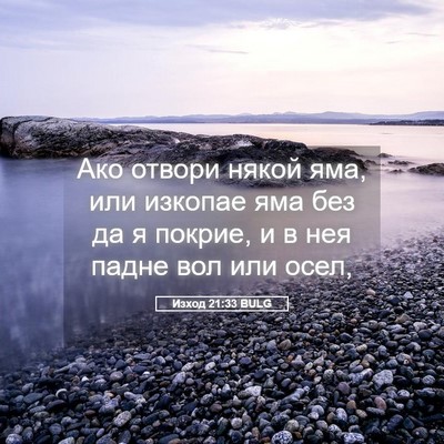 Picture 05 - Изход 21:33 BULG - Ако отвори някой яма, или - Bible Verse Picture