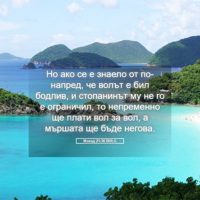 Picture 05 - Изход 21:36 BULG - Но ако се е знаело от - Bible Verse Picture