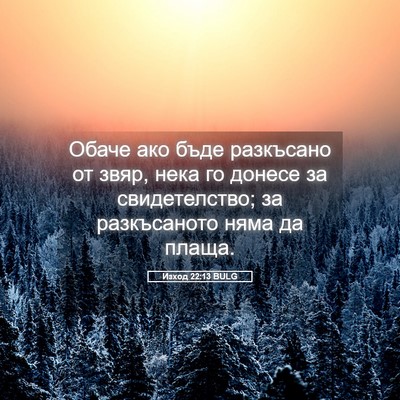 Picture 05 - Изход 22:13 BULG - Обаче ако бъде разкъсано - Bible Verse Picture