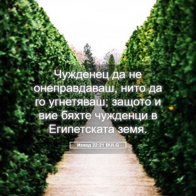 Picture 05 - Изход 22:21 BULG - Чужденец да не - Bible Verse Picture