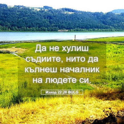 Picture 05 - Изход 22:28 BULG - Да не хулиш съдиите, нито - Bible Verse Picture