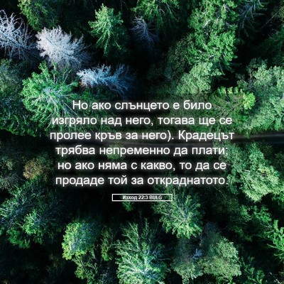 Picture 05 - Изход 22:3 BULG - Но ако слънцето е било - Bible Verse Picture