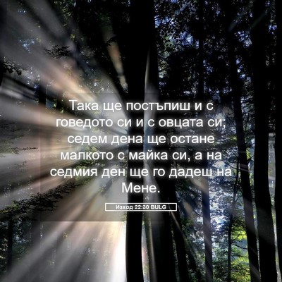Picture 05 - Изход 22:30 BULG - Така ще постъпиш и с - Bible Verse Picture