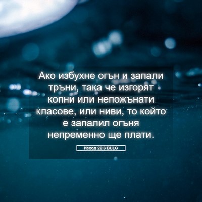 Picture 05 - Изход 22:6 BULG - Ако избухне огън и запали - Bible Verse Picture