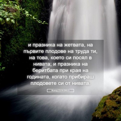 Picture 05 - Изход 23:16 BULG - и празника на жетвата, на - Bible Verse Picture