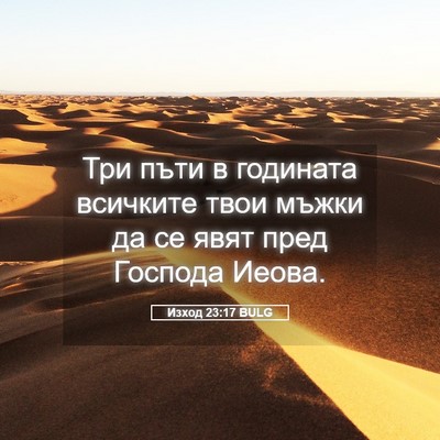 Picture 05 - Изход 23:17 BULG - Три пъти в годината - Bible Verse Picture