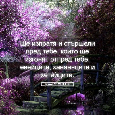 Picture 05 - Изход 23:28 BULG - Ще изпратя и стършели пред - Bible Verse Picture