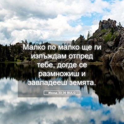 Picture 05 - Изход 23:30 BULG - Малко по малко ще ги - Bible Verse Picture