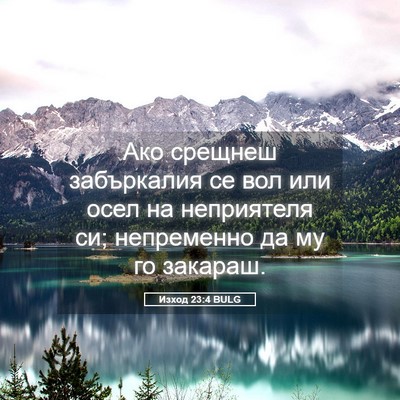 Picture 05 - Изход 23:4 BULG - Ако срещнеш забъркалия се - Bible Verse Picture