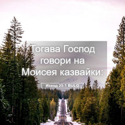 Picture 05 - Изход 25:1 BULG - Тогава Господ говори на - Bible Verse Picture