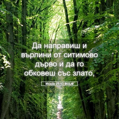Picture 05 - Изход 25:13 BULG - Да направиш и върлини от - Bible Verse Picture
