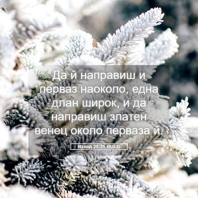 Picture 05 - Изход 25:25 BULG - Да й направиш и перваз - Bible Verse Picture