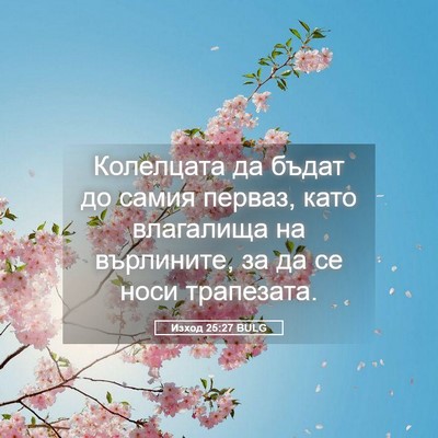 Picture 05 - Изход 25:27 BULG - Колелцата да бъдат до - Bible Verse Picture