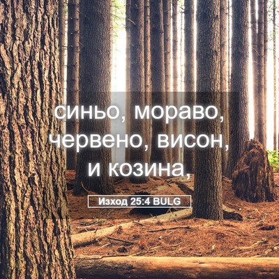 Picture 05 - Изход 25:4 BULG - синьо, мораво, червено, - Bible Verse Picture