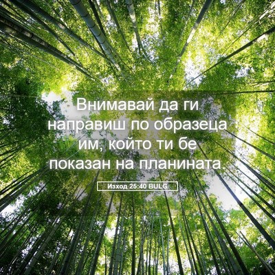 Picture 05 - Изход 25:40 BULG - Внимавай да ги направиш по - Bible Verse Picture