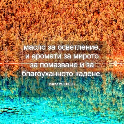 Picture 05 - Изход 25:6 BULG - масло за осветление, и - Bible Verse Picture