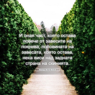 Picture 05 - Изход 26:12 BULG - И оная част, която остава - Bible Verse Picture