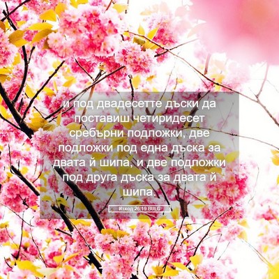 Picture 05 - Изход 26:19 BULG - и под двадесетте дъски да - Bible Verse Picture