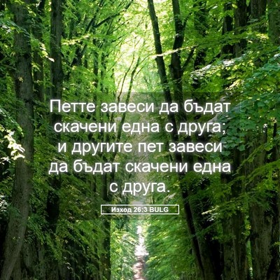 Picture 05 - Изход 26:3 BULG - Петте завеси да бъдат - Bible Verse Picture