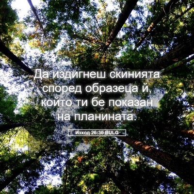 Picture 05 - Изход 26:30 BULG - Да издигнеш скинията - Bible Verse Picture