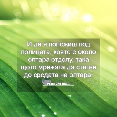 Picture 05 - Изход 27:5 BULG - И да я положиш под - Bible Verse Picture