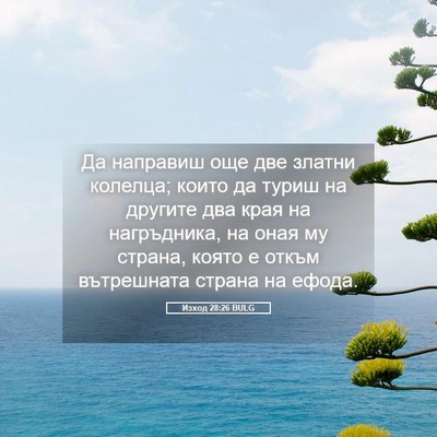 Picture 05 - Изход 28:26 BULG - Да направиш още две златни - Bible Verse Picture