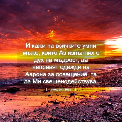 Picture 05 - Изход 28:3 BULG - И кажи на всичките умни - Bible Verse Picture