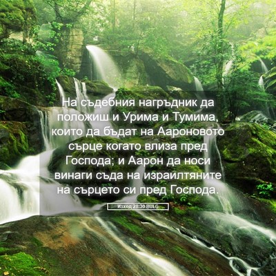 Picture 05 - Изход 28:30 BULG - На съдебния нагръдник да - Bible Verse Picture