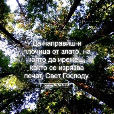 Picture 05 - Изход 28:36 BULG - Да направиш и плочица от - Bible Verse Picture