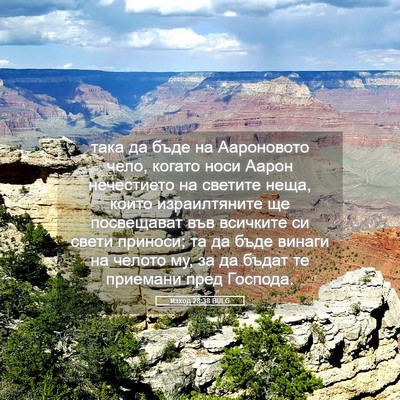 Picture 05 - Изход 28:38 BULG - така да бъде на Аароновото - Bible Verse Picture