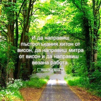 Picture 05 - Изход 28:39 BULG - И да направиш - Bible Verse Picture
