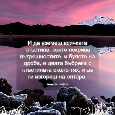 Picture 05 - Изход 29:13 BULG - И да вземеш всичката - Bible Verse Picture