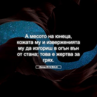 Picture 05 - Изход 29:14 BULG - А месото на юнеца, кожата - Bible Verse Picture