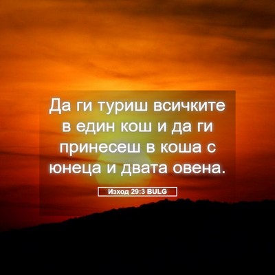Picture 05 - Изход 29:3 BULG - Да ги туриш всичките в един - Bible Verse Picture