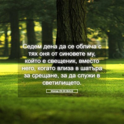 Picture 05 - Изход 29:30 BULG - Седем дена да се облича с - Bible Verse Picture