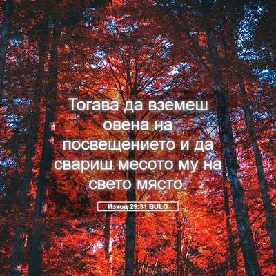 Picture 05 - Изход 29:31 BULG - Тогава да вземеш овена на - Bible Verse Picture