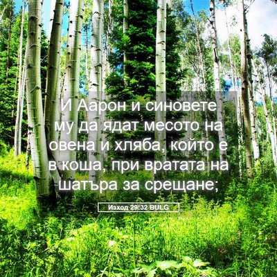 Picture 05 - Изход 29:32 BULG - И Аарон и синовете му да - Bible Verse Picture