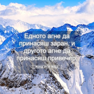 Picture 05 - Изход 29:39 BULG - Едното агне да принасяш - Bible Verse Picture