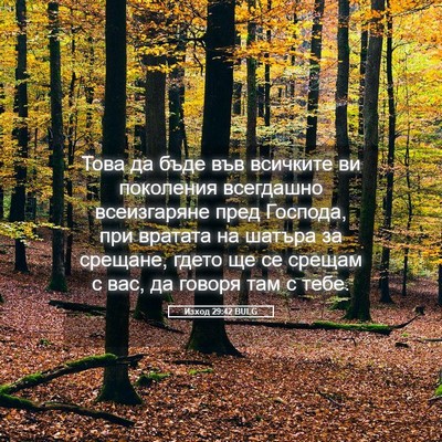 Picture 05 - Изход 29:42 BULG - Това да бъде във всичките - Bible Verse Picture