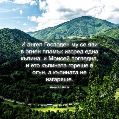 Picture 05 - Изход 3:2 BULG - И ангел Господен му се яви - Bible Verse Picture