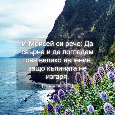 Picture 05 - Изход 3:3 BULG - И Моисей си рече: Да свърна - Bible Verse Picture