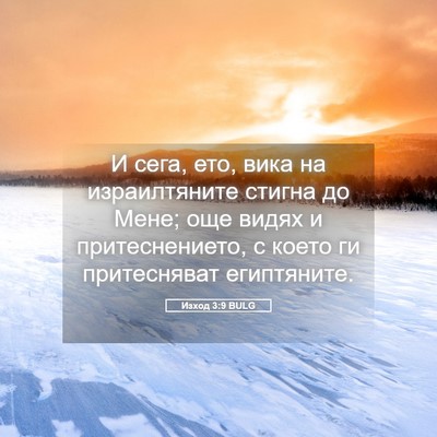 Picture 05 - Изход 3:9 BULG - И сега, ето, вика на - Bible Verse Picture