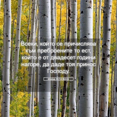 Picture 05 - Изход 30:14 BULG - Всеки, който се причислява - Bible Verse Picture