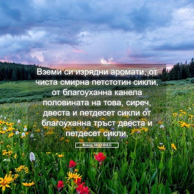 Picture 05 - Изход 30:23 BULG - Вземи си изрядни аромати, - Bible Verse Picture
