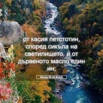 Picture 05 - Изход 30:24 BULG - от касия петстотин, според - Bible Verse Picture