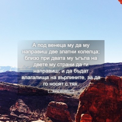 Picture 05 - Изход 30:4 BULG - А под венеца му да му - Bible Verse Picture