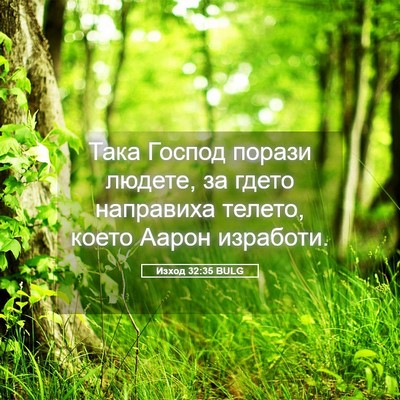 Picture 05 - Изход 32:35 BULG - Така Господ порази людете, - Bible Verse Picture