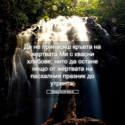 Picture 05 - Изход 34:25 BULG - Да не принасяш кръвта на - Bible Verse Picture