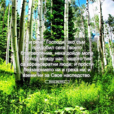 Picture 05 - Изход 34:9 BULG - и рече: Господи, ако съм - Bible Verse Picture