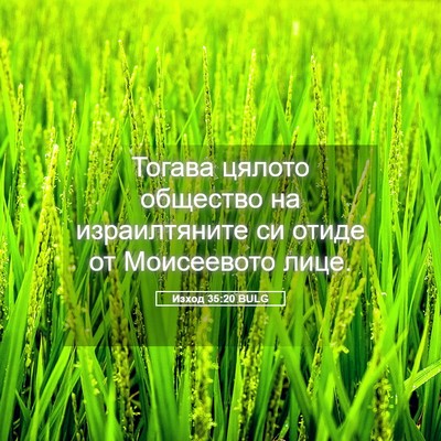 Picture 05 - Изход 35:20 BULG - Тогава цялото общество на - Bible Verse Picture